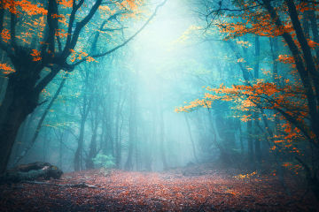 Fantasy and Folklore