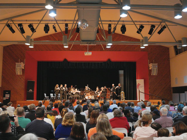 Roma Community in Concert image
