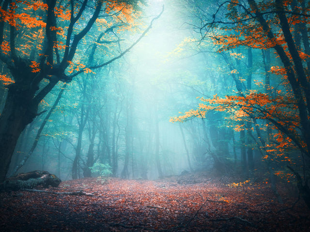 Fantasy and Folklore