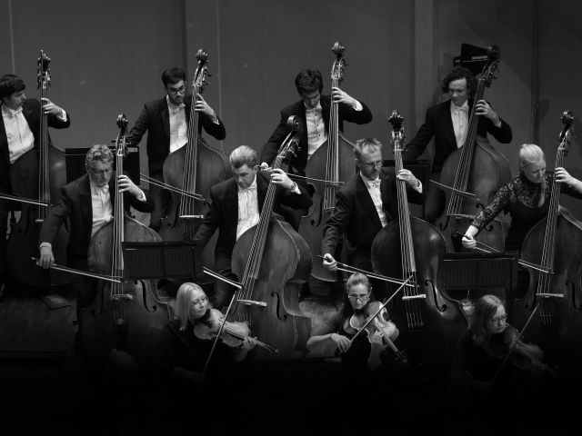 Young Person's Guide to the Orchestra